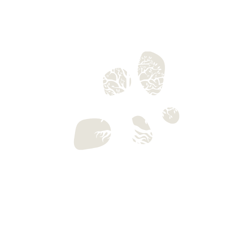 Polskie rodziny